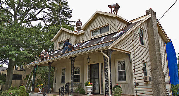 Best Metal Roofing Contractor  in Orofino, ID